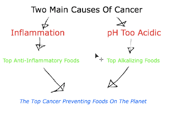 topcancerpreventingfoods
